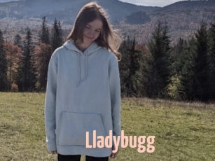 Lladybugg