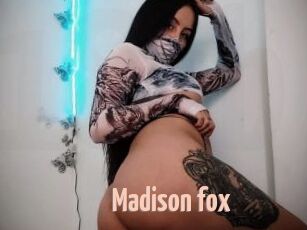 Madison_fox