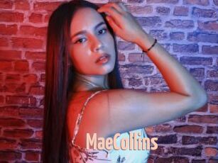 MaeCollins
