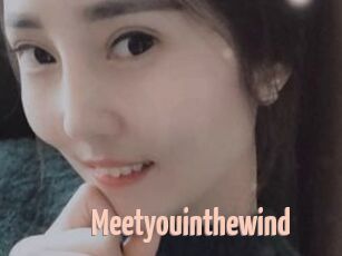 Meetyouinthewind