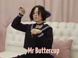 Mr_Buttercup