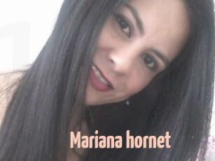 Mariana_hornet