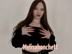melisahonchett 18A blog