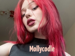 Mollycodle