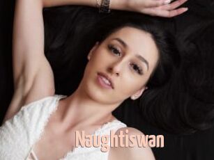 Naughtiswan