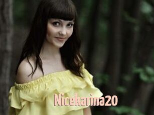 Nicekarina20