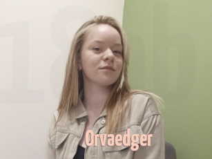 Orvaedger