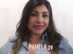 PAMELA_zv
