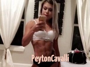 Peyton_Cavalli