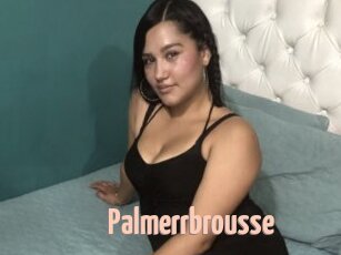 Palmerrbrousse