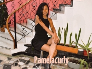 Pamelacurly
