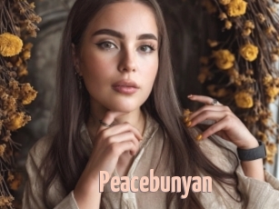 Peacebunyan