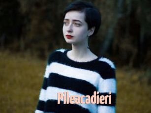 Pileacadieri