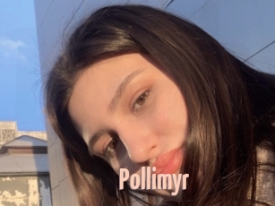 Pollimyr