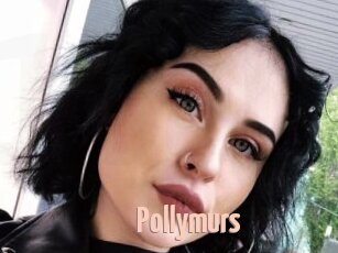 Pollymurs