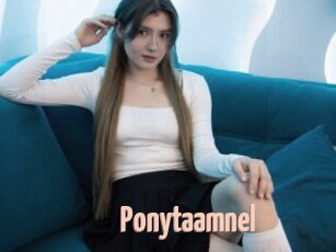 Ponytaamnel