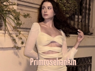 Primrosehankin