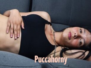 Puccahorny