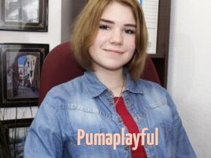 Pumaplayful
