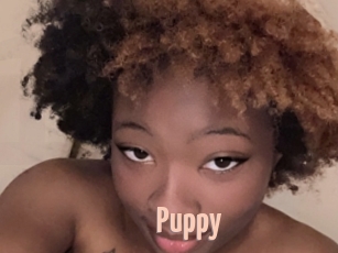 Puppy