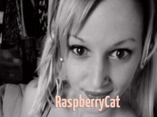 RaspberryCat