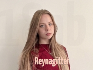 Reynagitter