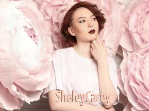 SheleyCarey