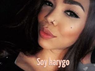 Soy_karygo