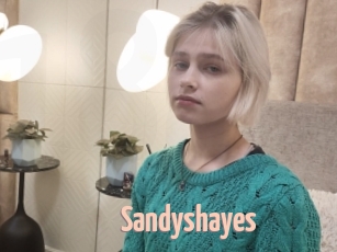 Sandyshayes