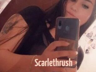 Scarlethrush