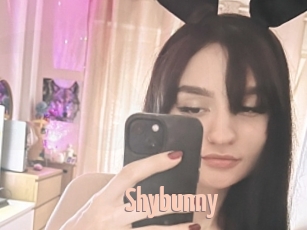 Shybunny