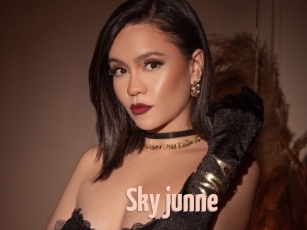 Sky_junne