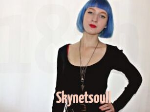 Skynetsoull