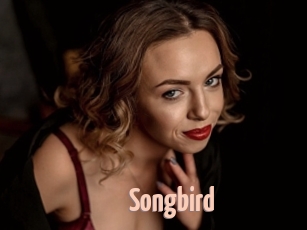 songbird 18A blog