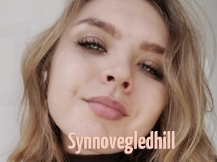 Synnovegledhill