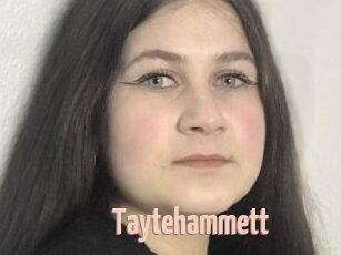 Taytehammett