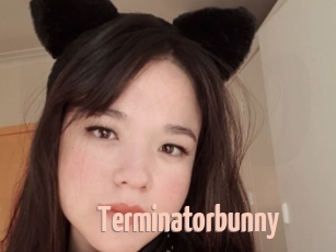 Terminatorbunny