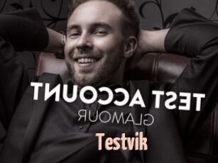 Testvik