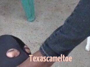 Texascameltoe