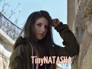 tinyNATASHA 18A blog