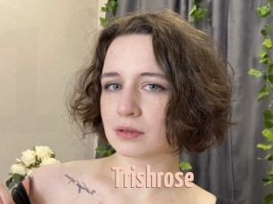 trishrose 18A blog