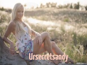 Ursecretsandy