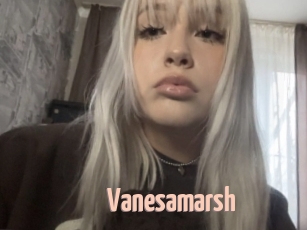 Vanesamarsh