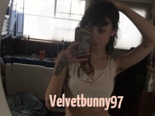 Velvetbunny97