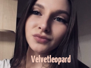 Velvetleopard