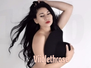 Viiolethrose