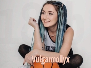 Vulgarmollyx