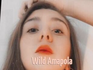 Wild_Amapola