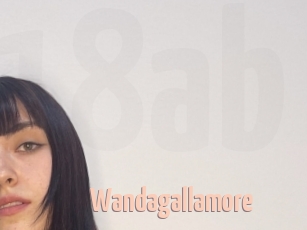 Wandagallamore