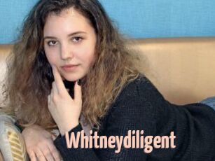 Whitneydiligent